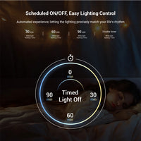 Ruban LED COB CCT 12 V – vue 18
