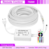 Ruban néon LED RGB 220 V – vue 6