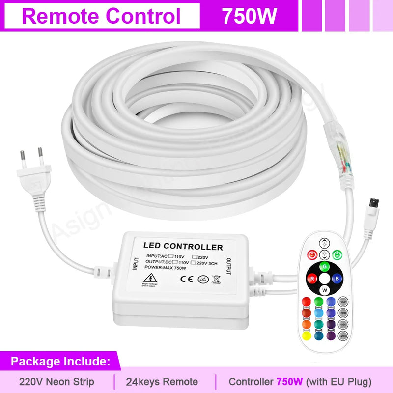 Ruban néon LED RGB 220 V – vue 6