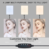 Key light LED USB à bras articulé pour visioconférence et streaming