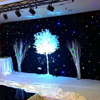 Rideau ciel étoilé LED – fond de scène pour un mariage