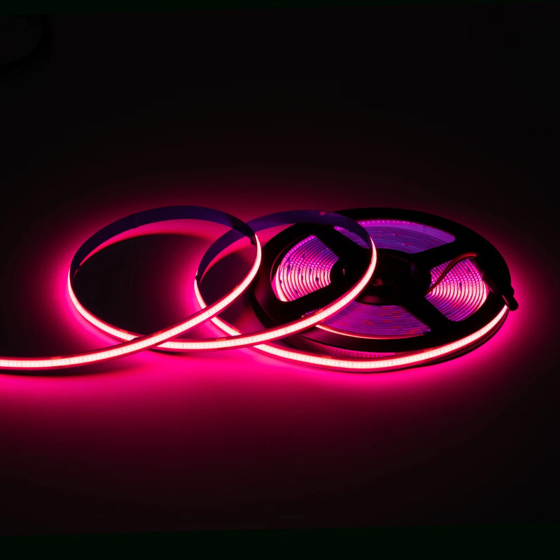 Ruban LED FCOB 480 LED/m – rouleau allumé en rose