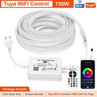 Ruban néon LED RGB 220 V – vue 10