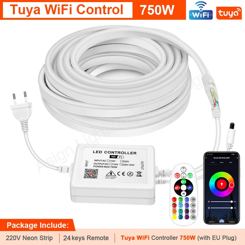 Ruban néon LED RGB 220 V – vue 10