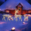 Renne lumineux de Noël, famille de 3 pièces en métal avec LED
