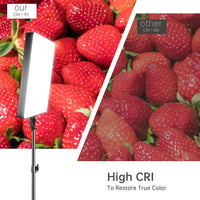 Panneau LED vidéo bicolore 90 W – indice de rendu des couleurs supérieur à 95 sur des fraises