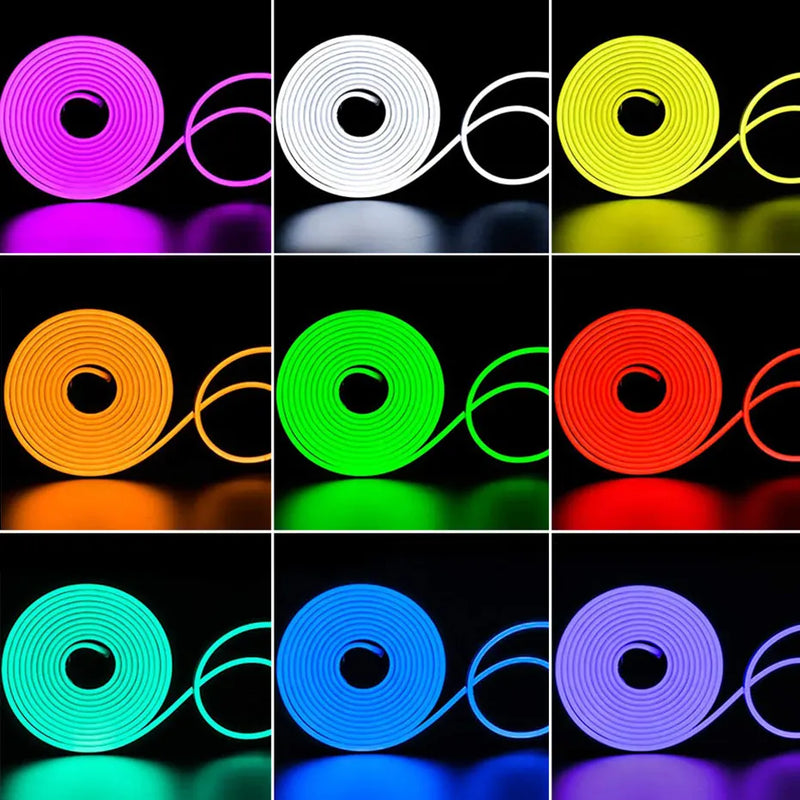 Ruban néon LED RGB 220 V – vue 3