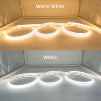 Bande LED COB 220 V – blanc chaud et blanc froid déroulés en boucles