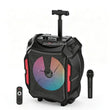 Enceinte karaoké lumineuse sur roulettes 30 W avec micro sans fil