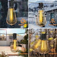 Guirlande guinguette extérieur ST38, ampoules LED plastique, 10 à 30 m