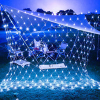 Filet lumineux LED extérieur 220 V, 4 couleurs, 1,5 x 1,5 à 3 x 2 m