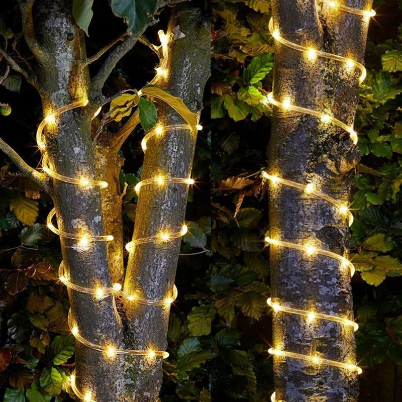 Guirlande LED tube de corde – tube lumineux blanc chaud enroulé autour de troncs d'arbres