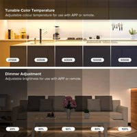 Ruban LED COB CCT 12 V – températures de blanc de 2700 K à 6500 K et variation d'intensité