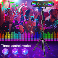 Jeu de lumière soirée à 2 boules magiques – trois modes de commande : télécommande, automatique et sonore