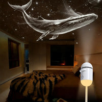 Mini projecteur ciel étoilé capsule USB – baleine céleste projetée au plafond d'une chambre
