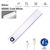 Lampe LED ultra-fine à détecteur – lampe argent, lumière blanc froid 6000 K, câble USB et capteur PIR